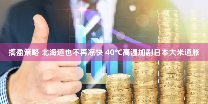 摛盈策略 北海道也不再凉快 40℃高温加剧日本大米通胀